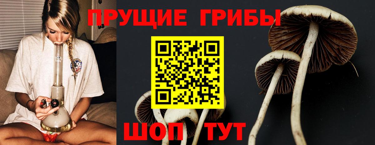 где продают наркотики  Псилоцибиновые грибы прущие грибы  Вход с VPN  Гуково 